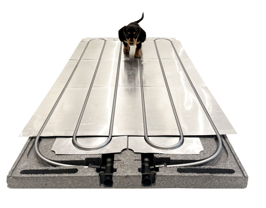 Dog on a Ray Magic® NK Radiant Cooling and Heating Ceiling Panel.