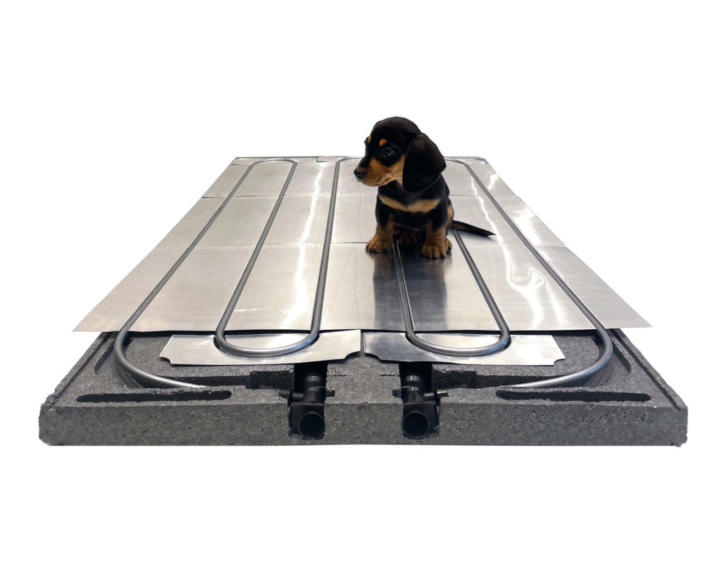 Dog on a Ray Magic® NK Radiant Cooling and Heating Ceiling Panel.
